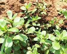 斗鱼体育官网-G馬?芡"暀鼑啻$@眗o*_B儉鐣H緿裇壡y3%瀀?|见?廈q鞟鱈碌簖Cam??功齺4z幓??Fb*o的简单介绍